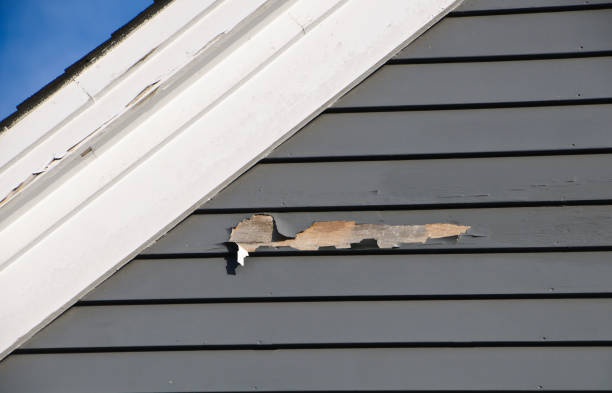 Best Siding Repair  in USA